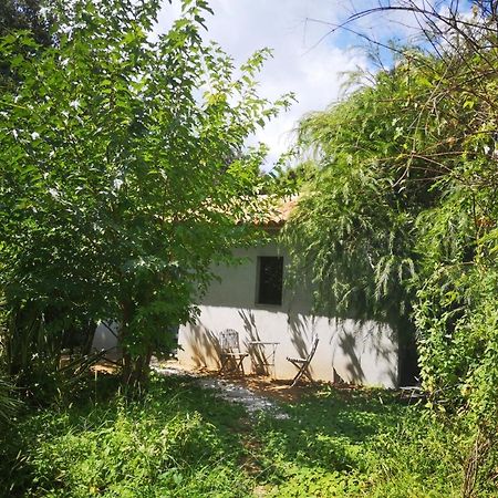 Villa Griseor Porto-Vecchio  Dış mekan fotoğraf