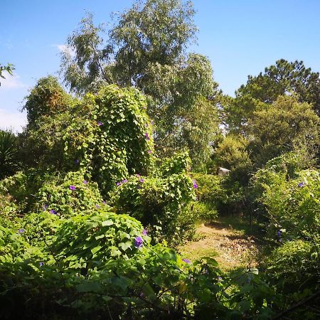 Villa Griseor Porto-Vecchio  Dış mekan fotoğraf