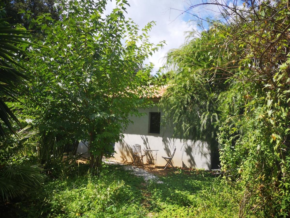 Villa Griseor Porto-Vecchio  Dış mekan fotoğraf