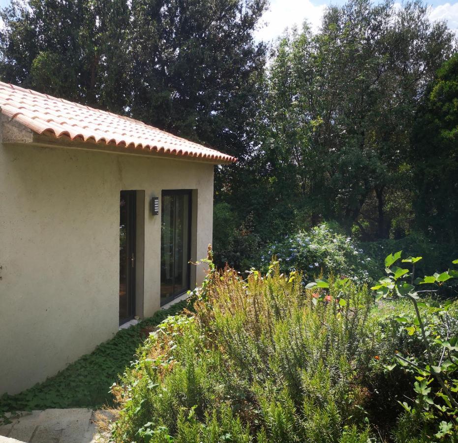 Villa Griseor Porto-Vecchio  Dış mekan fotoğraf